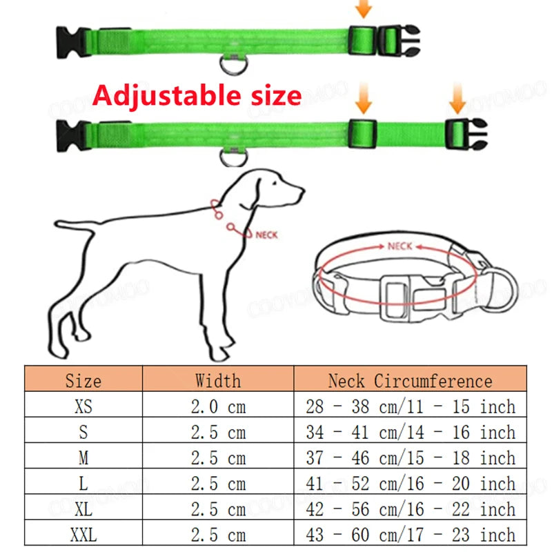 LED Dog Collar - USB Rechargeable
