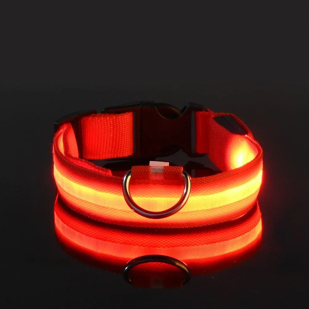 LED Dog Collar - Rechargeable Light-Up Safety Collar for Night Walks