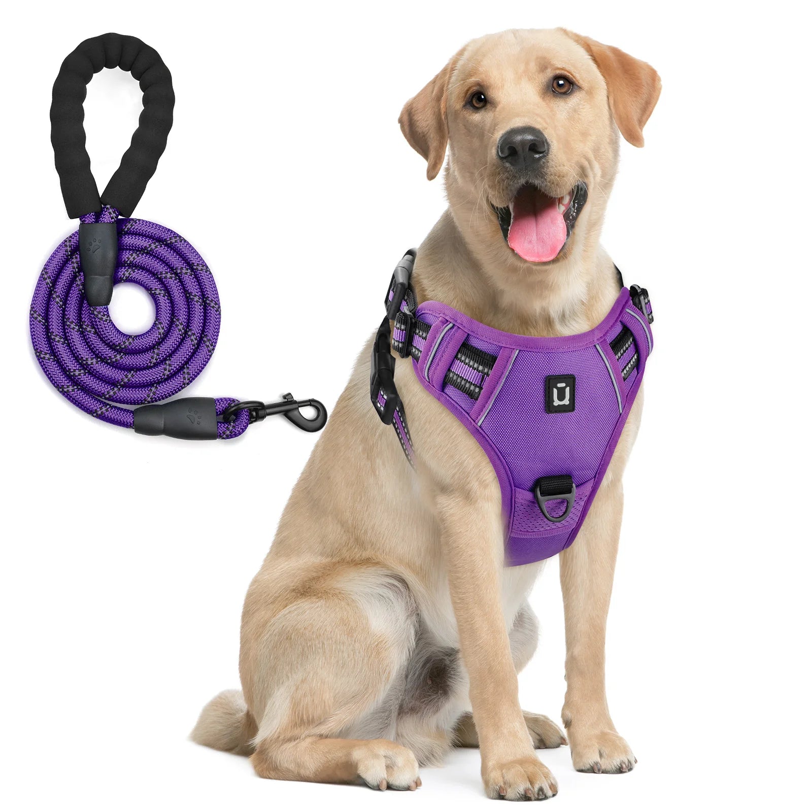 Escape Proof Dog Harness with Leash