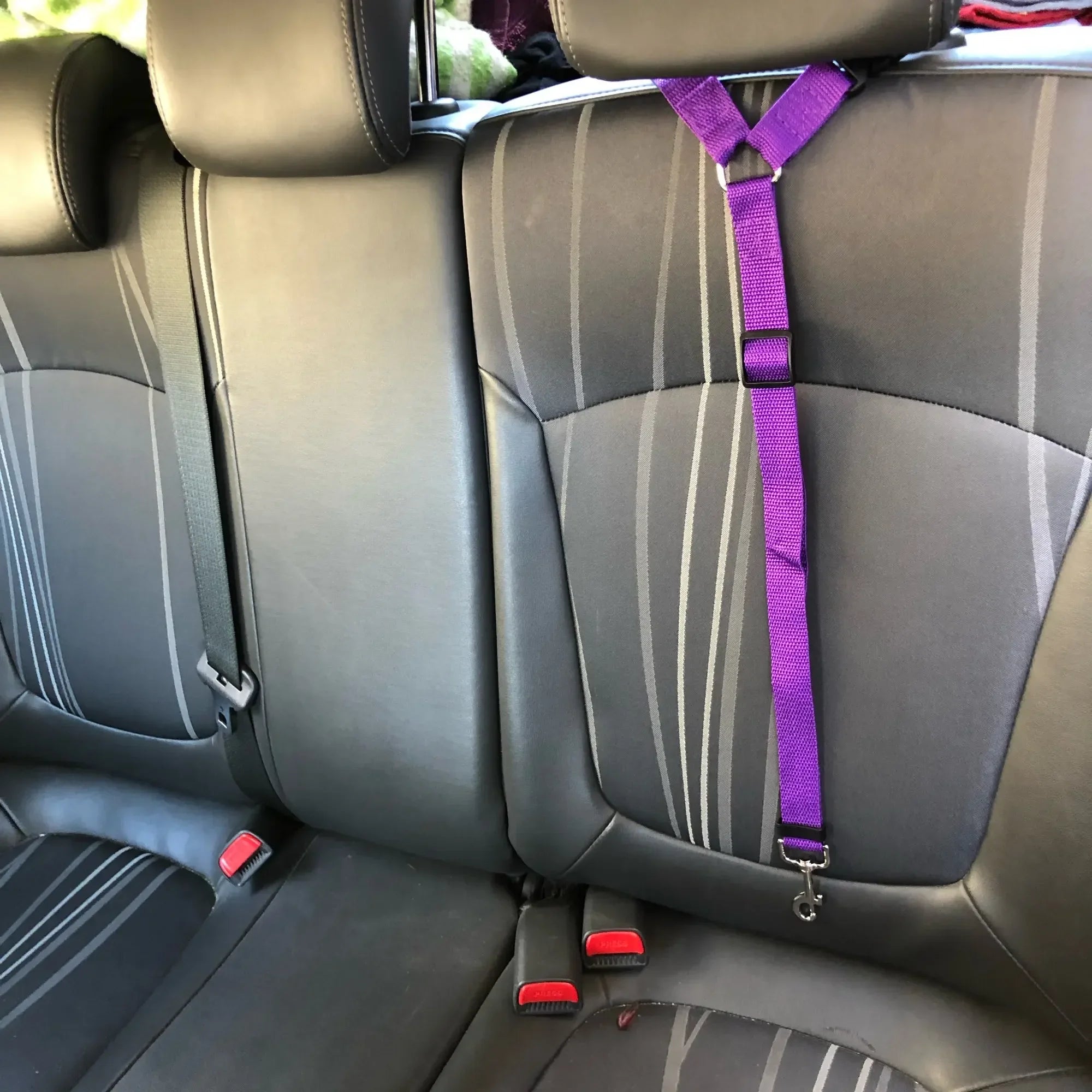 Dog Car Seat Belt - Two-in-One