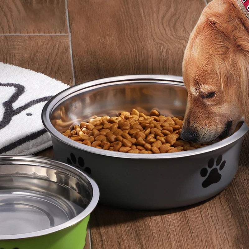 Dog Bowl with Non-Slip Rubber Base