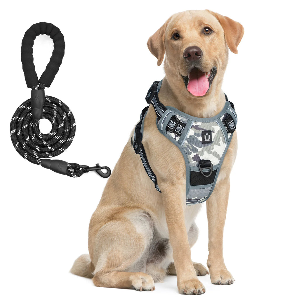 Escape Proof Dog Harness with Leash