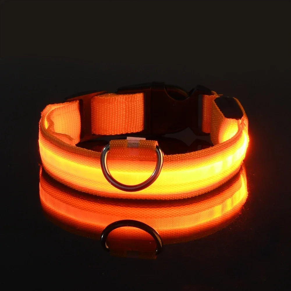 LED Dog Collar - Rechargeable Light-Up Safety Collar for Night Walks