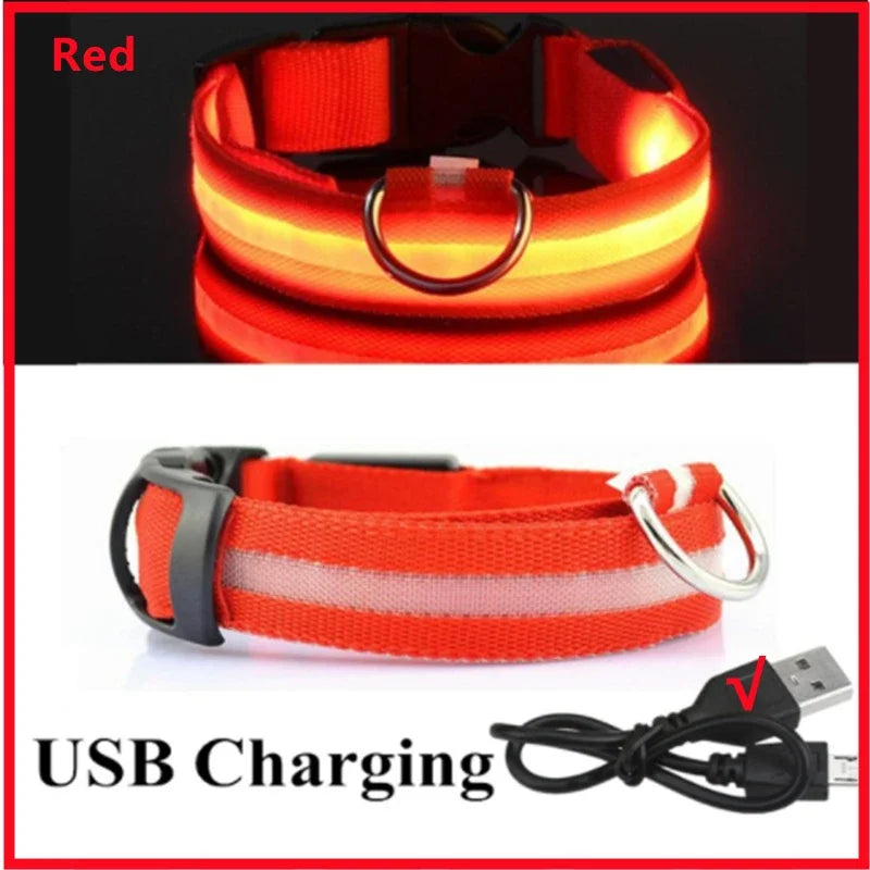 LED Dog Collar - USB Rechargeable