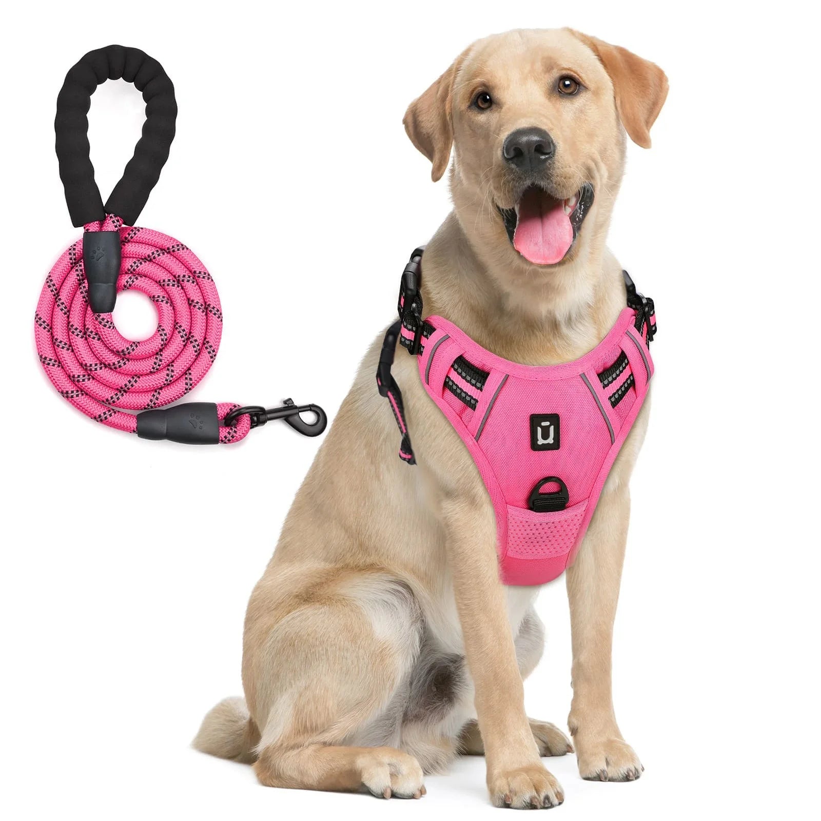 Escape Proof Dog Harness with Leash
