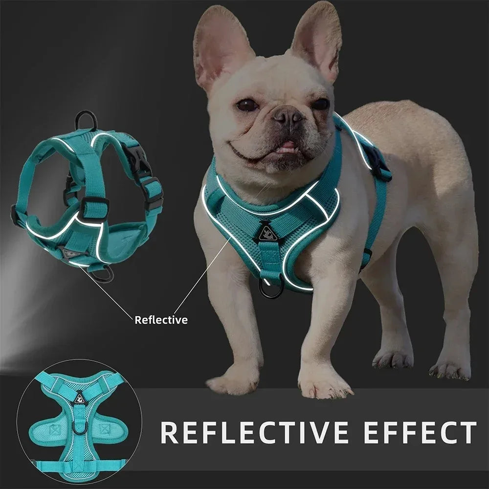 No Pull Dog Harness and Leash Set