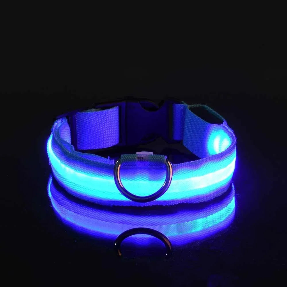 LED Dog Collar - Rechargeable Light-Up Safety Collar for Night Walks