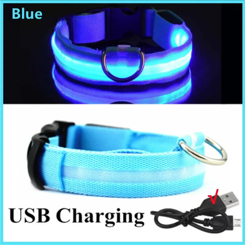 LED Dog Collar - USB Rechargeable