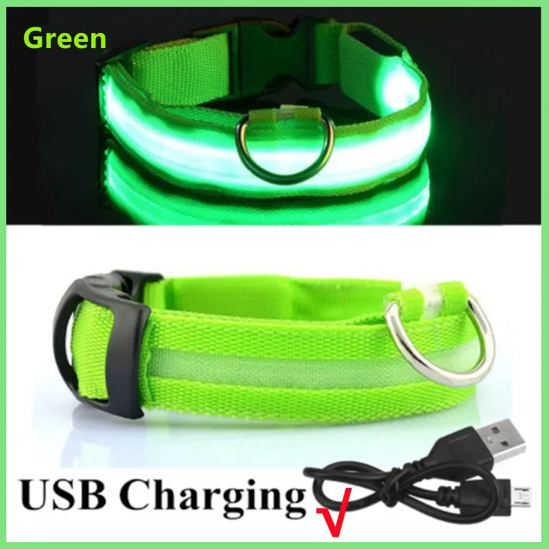 LED Dog Collar - USB Rechargeable