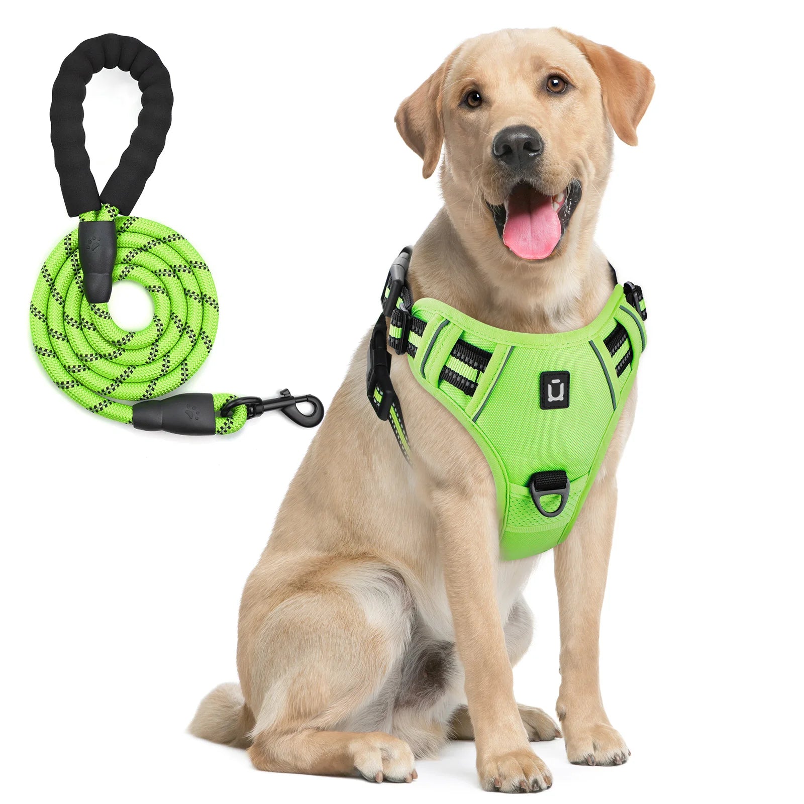 Escape Proof Dog Harness with Leash
