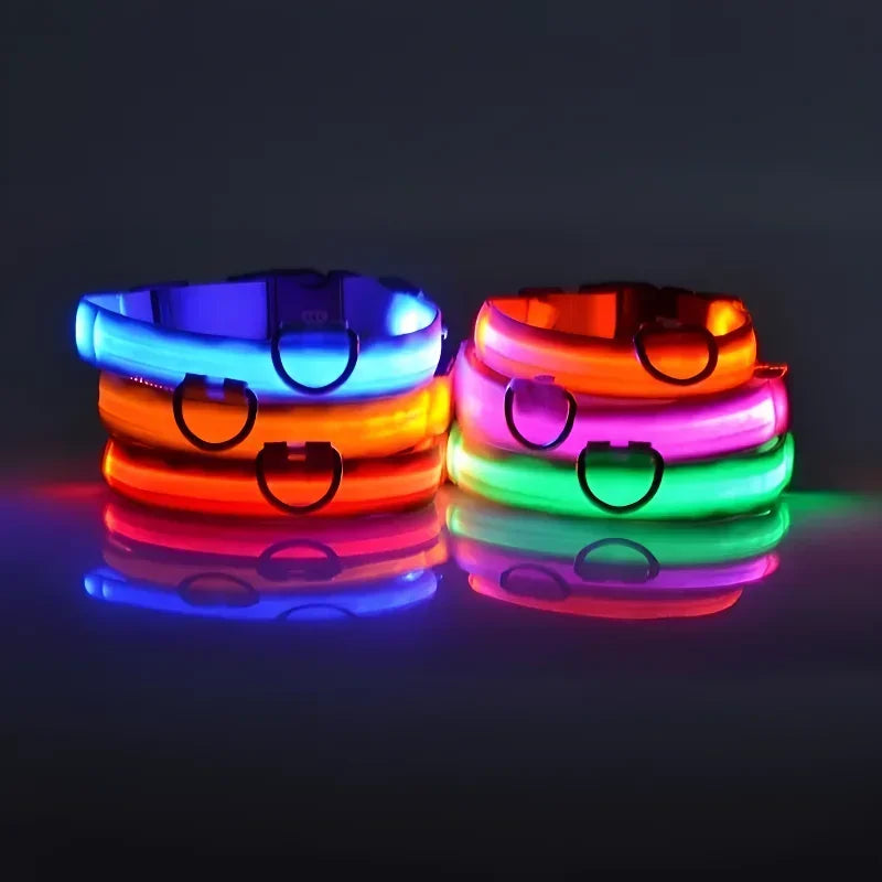 LED Dog Collar - Rechargeable Light-Up Safety Collar for Night Walks