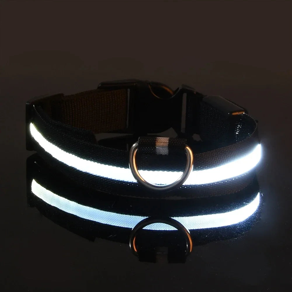 LED Dog Collar - Rechargeable Light-Up Safety Collar for Night Walks