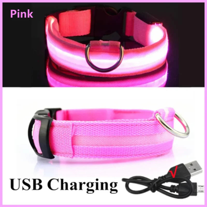 LED Dog Collar - USB Rechargeable