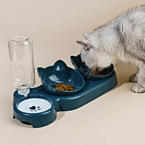 3-in-1 Elevated Cat Bowl Set - Tilted Feeding Dish with Water Feeder & Neck Protection