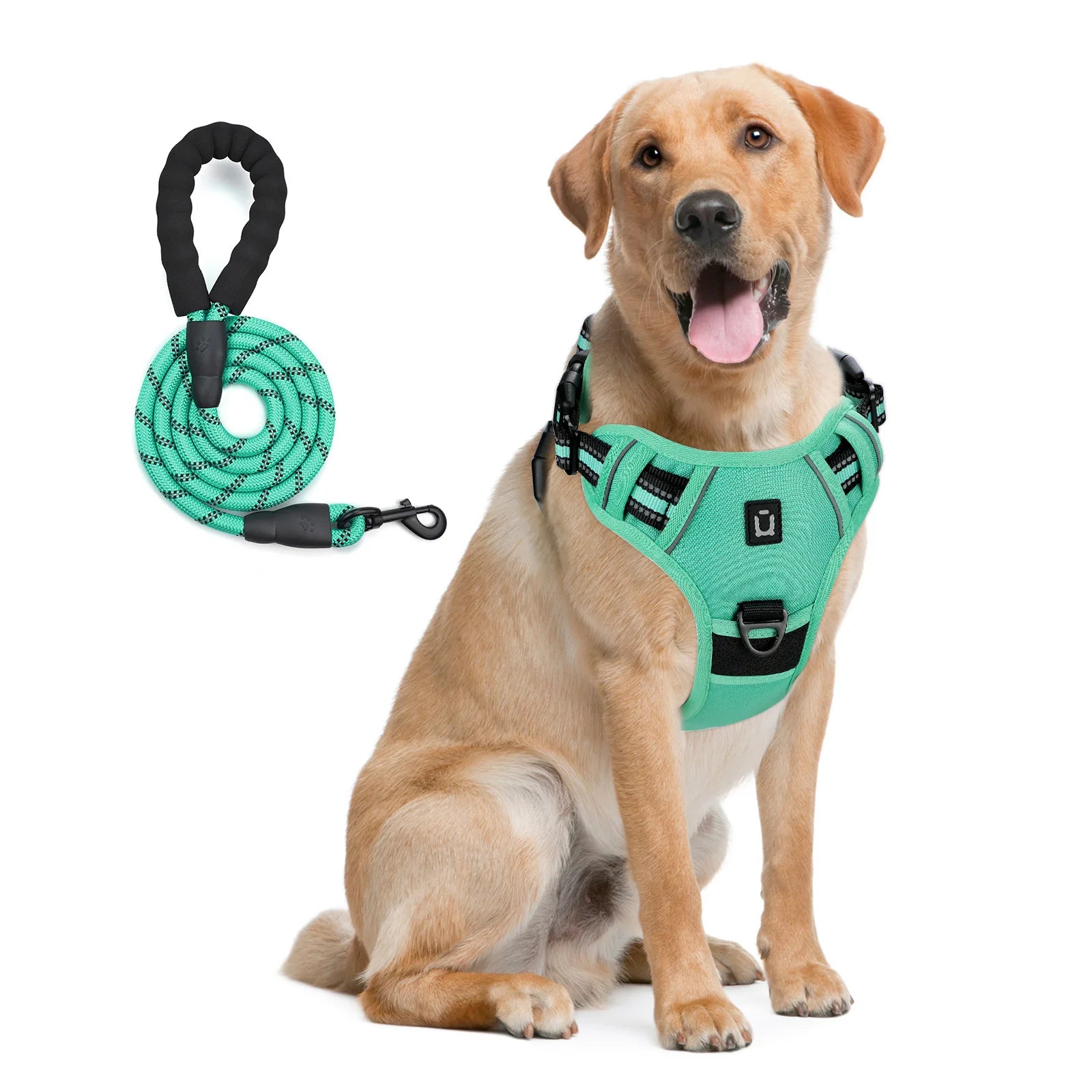 Escape Proof Dog Harness with Leash