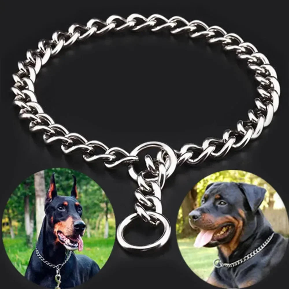 Stainless Steel Slip Chain Dog Collar