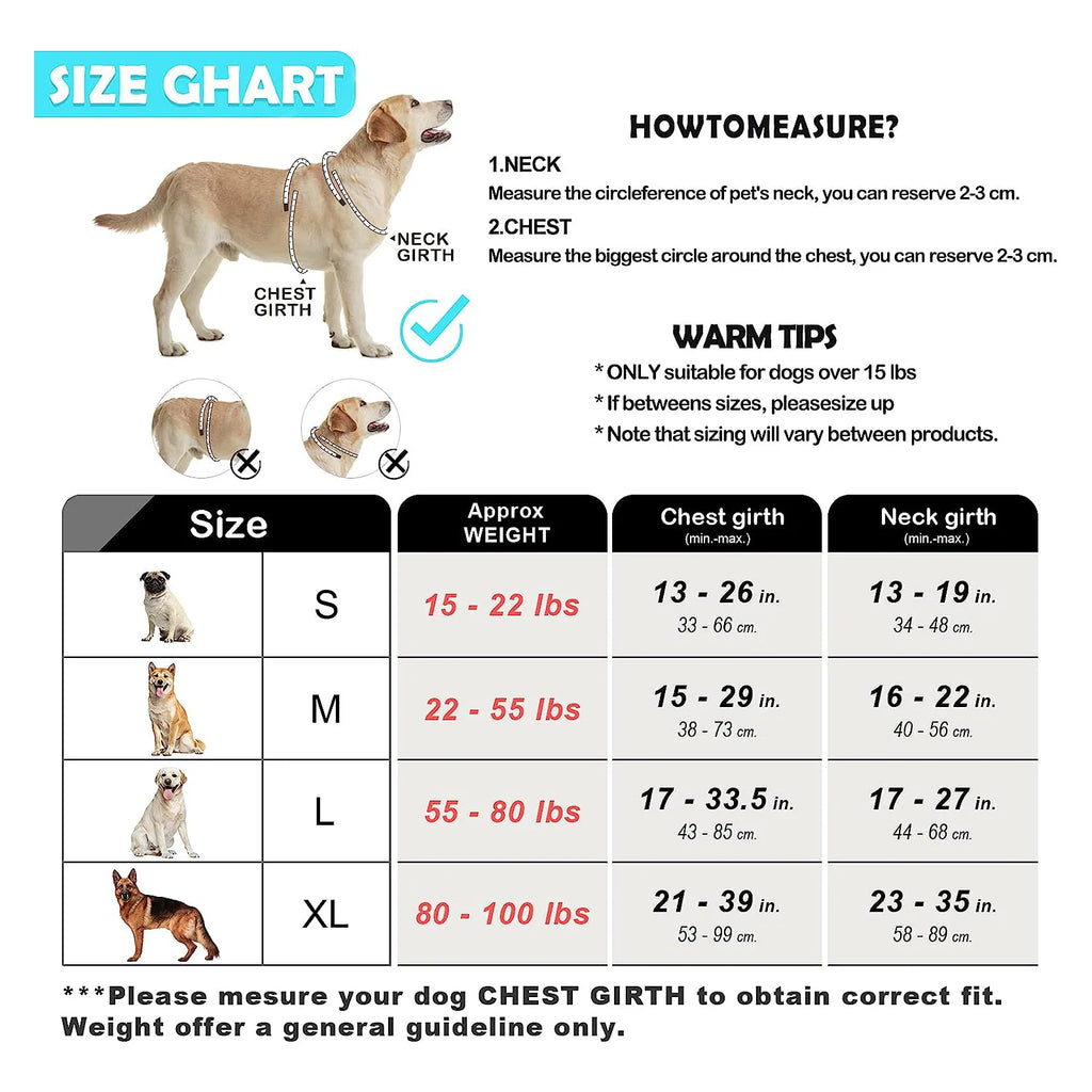 Escape Proof Dog Harness with Leash