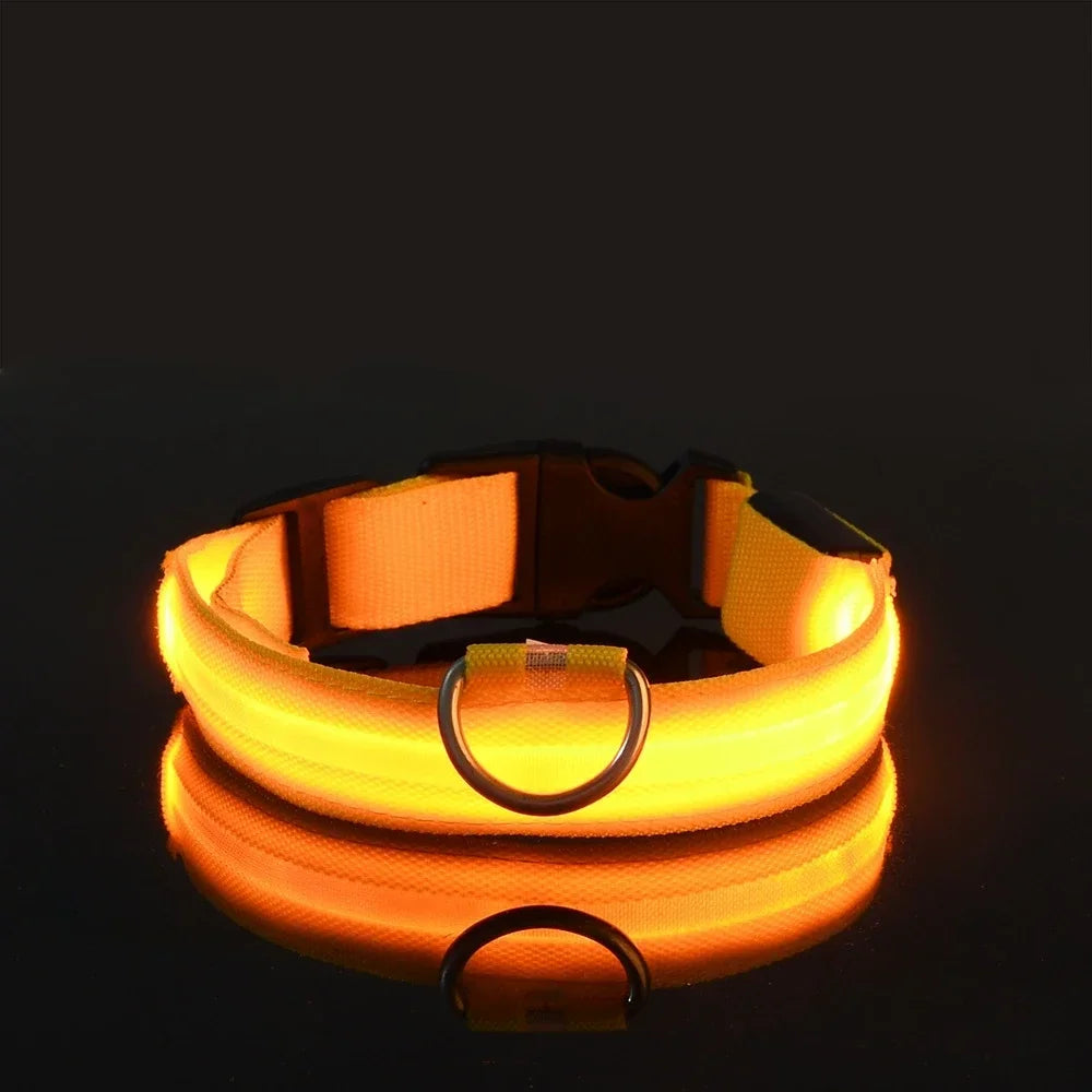 LED Dog Collar - Rechargeable Light-Up Safety Collar for Night Walks