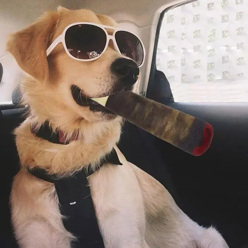 Interactive Squeaky Dog Toy - Plush Chew Toy for Teeth Cleaning