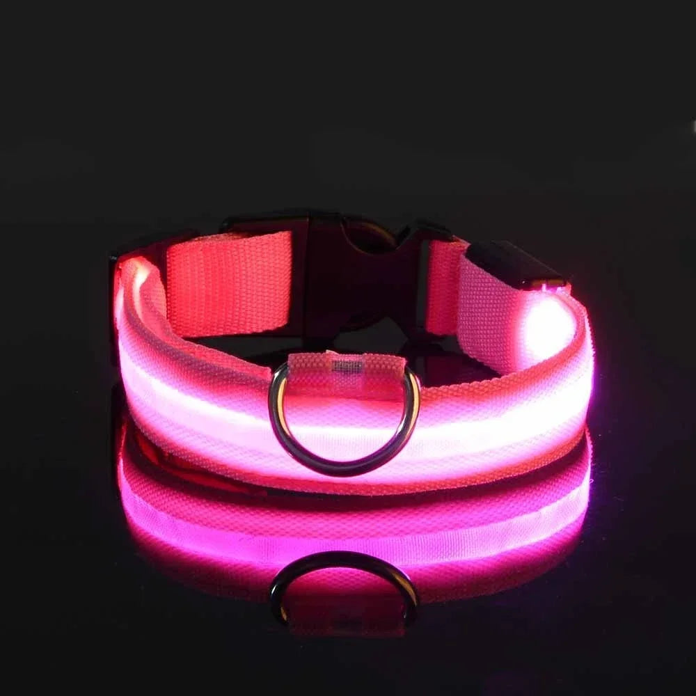 LED Dog Collar - Rechargeable Light-Up Safety Collar for Night Walks
