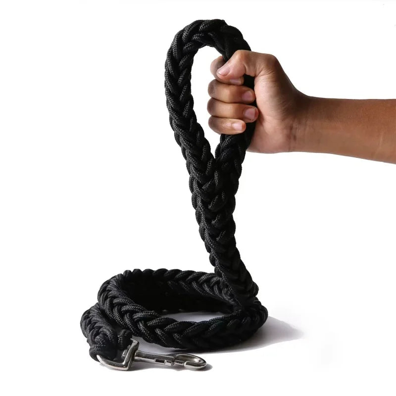 Braided Nylon Dog Leash - Large Dogs