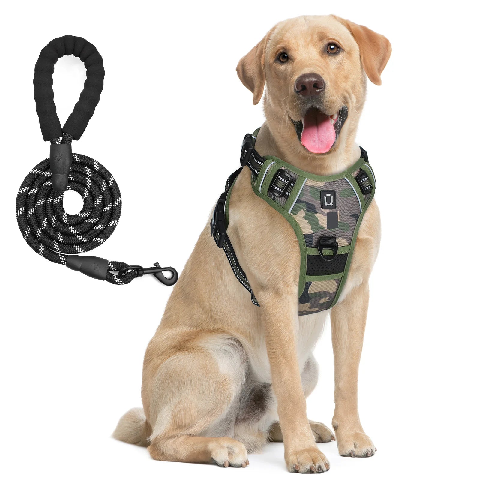 Escape Proof Dog Harness with Leash