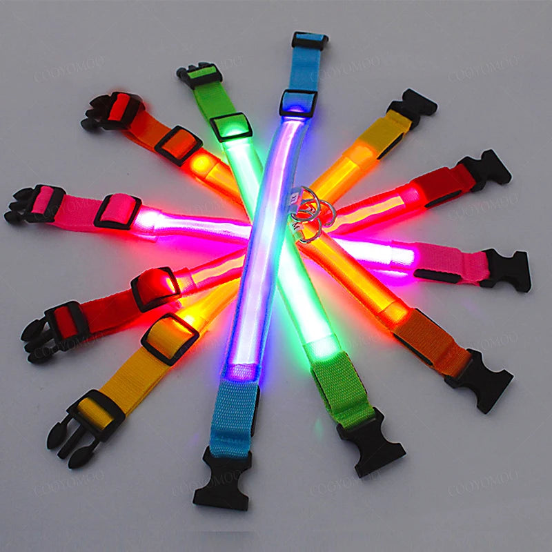 LED Dog Collar - USB Rechargeable