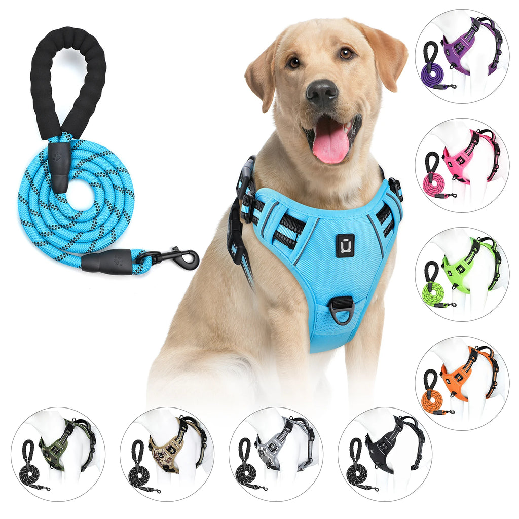 Escape Proof Dog Harness with Leash