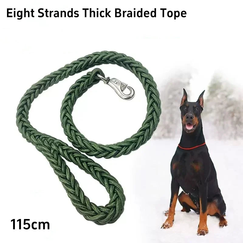 Braided Nylon Dog Leash - Large Dogs