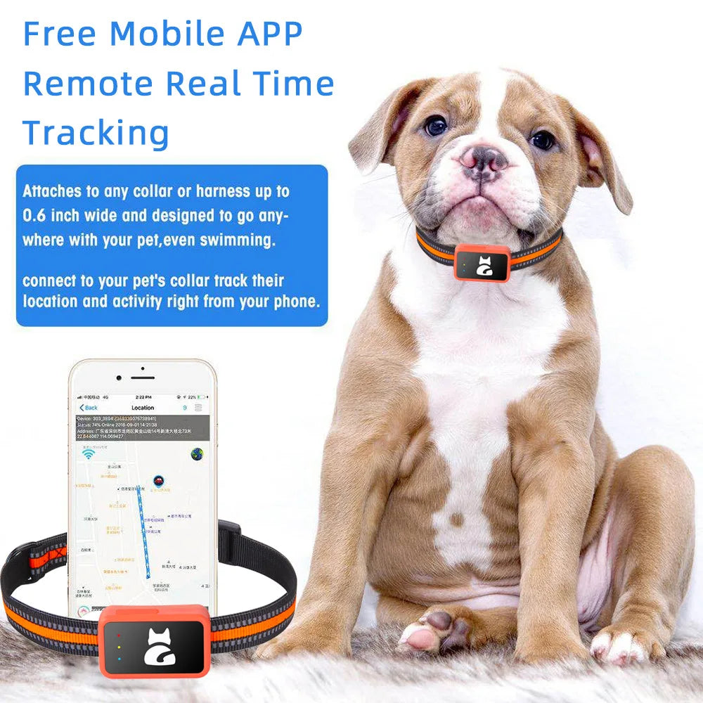 4G GPS Tracker for Dogs & Cats - Waterproof Pet Locator with Health Monitor