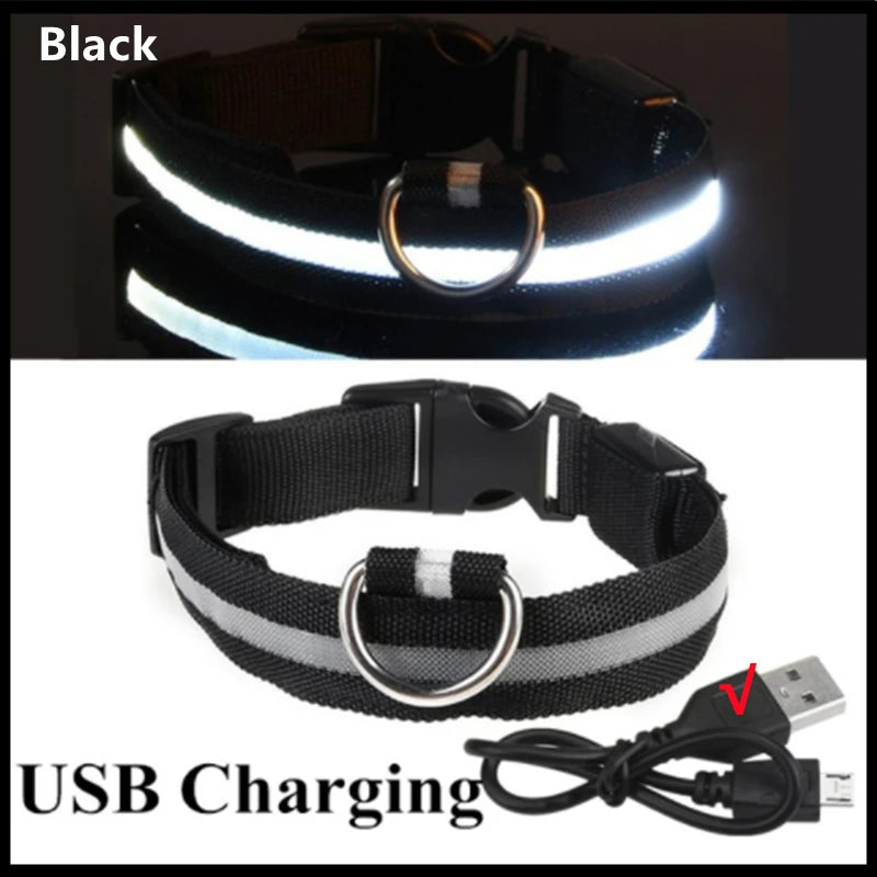 LED Dog Collar - USB Rechargeable