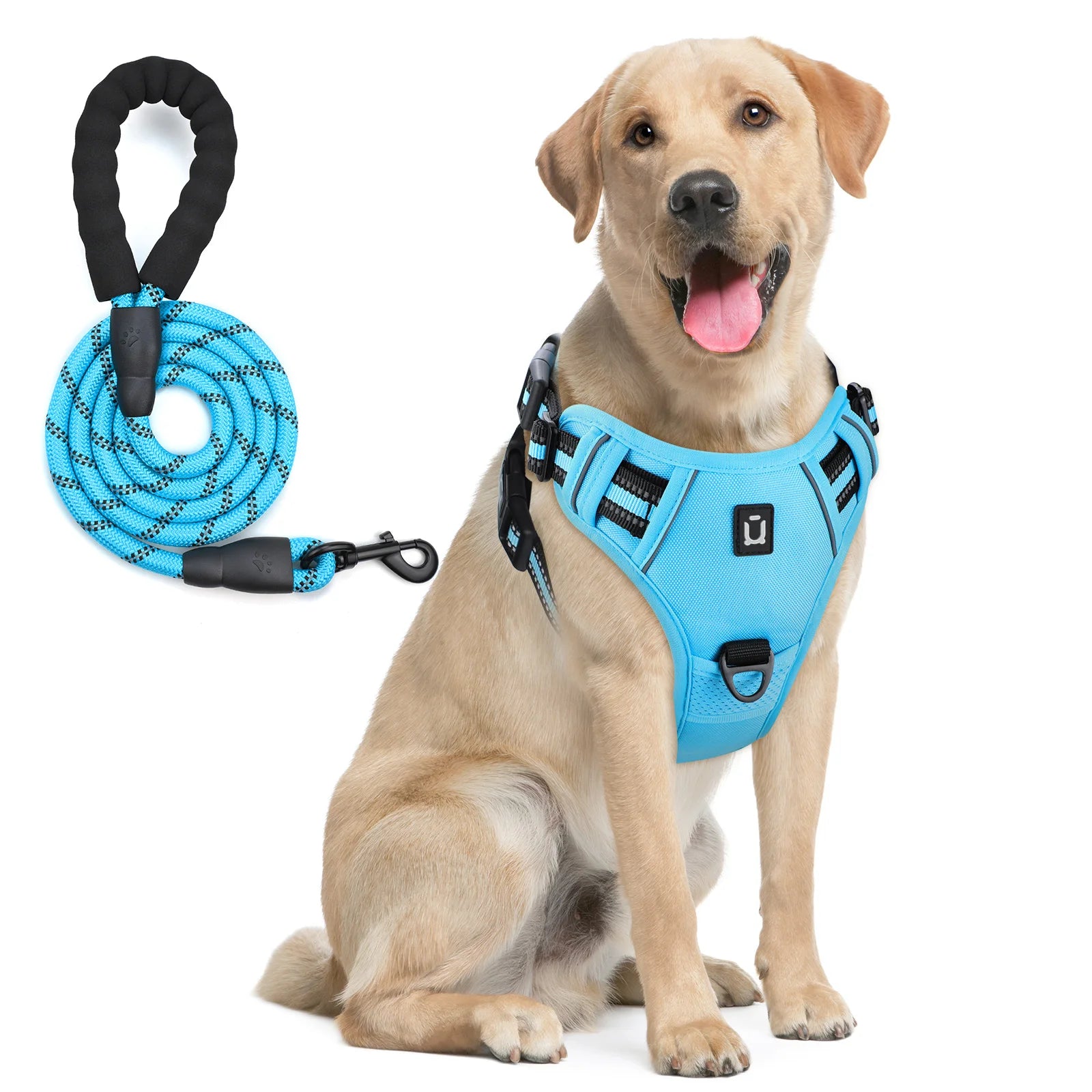 Escape Proof Dog Harness with Leash