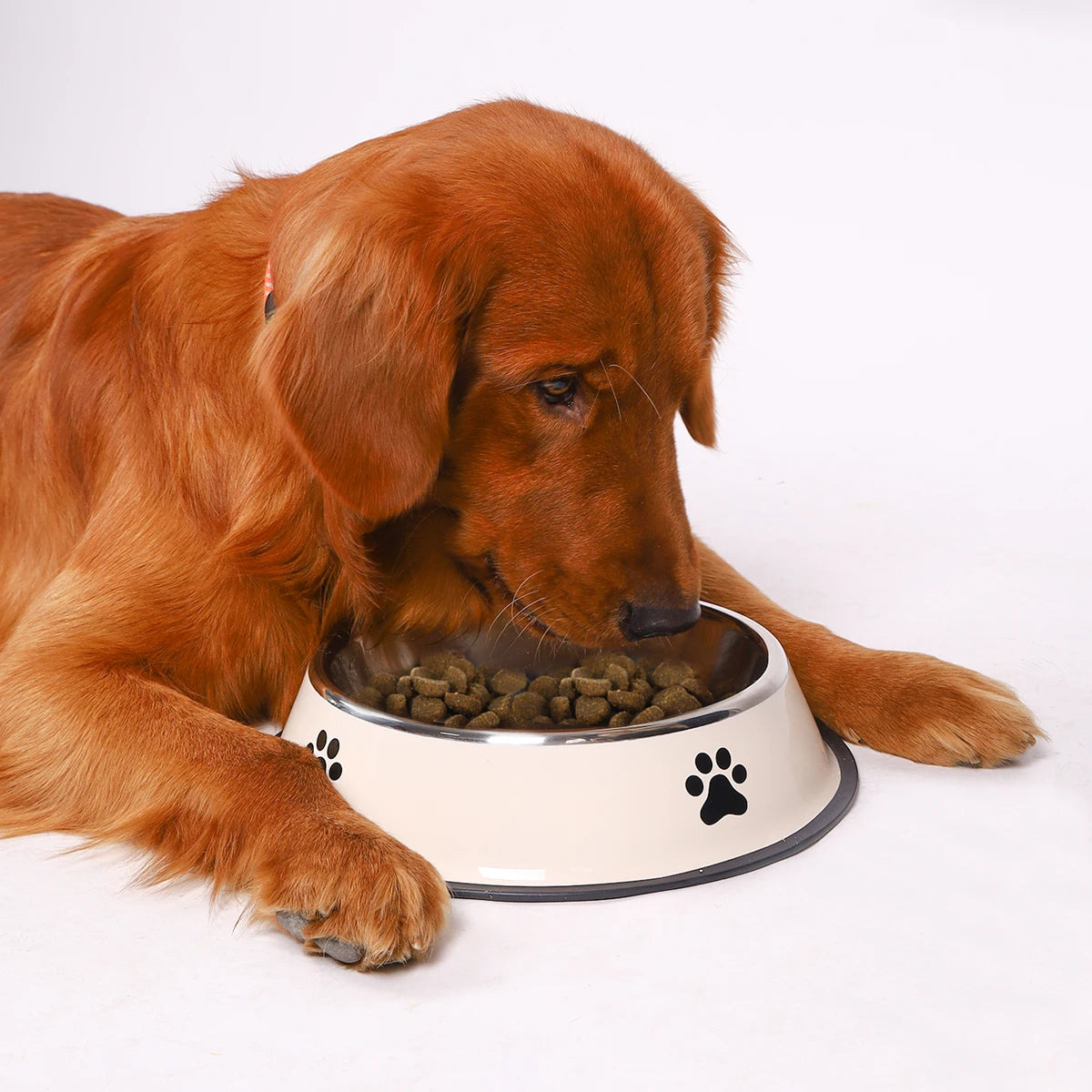 Stainless Steel Pet Bowl - Anti-Slip