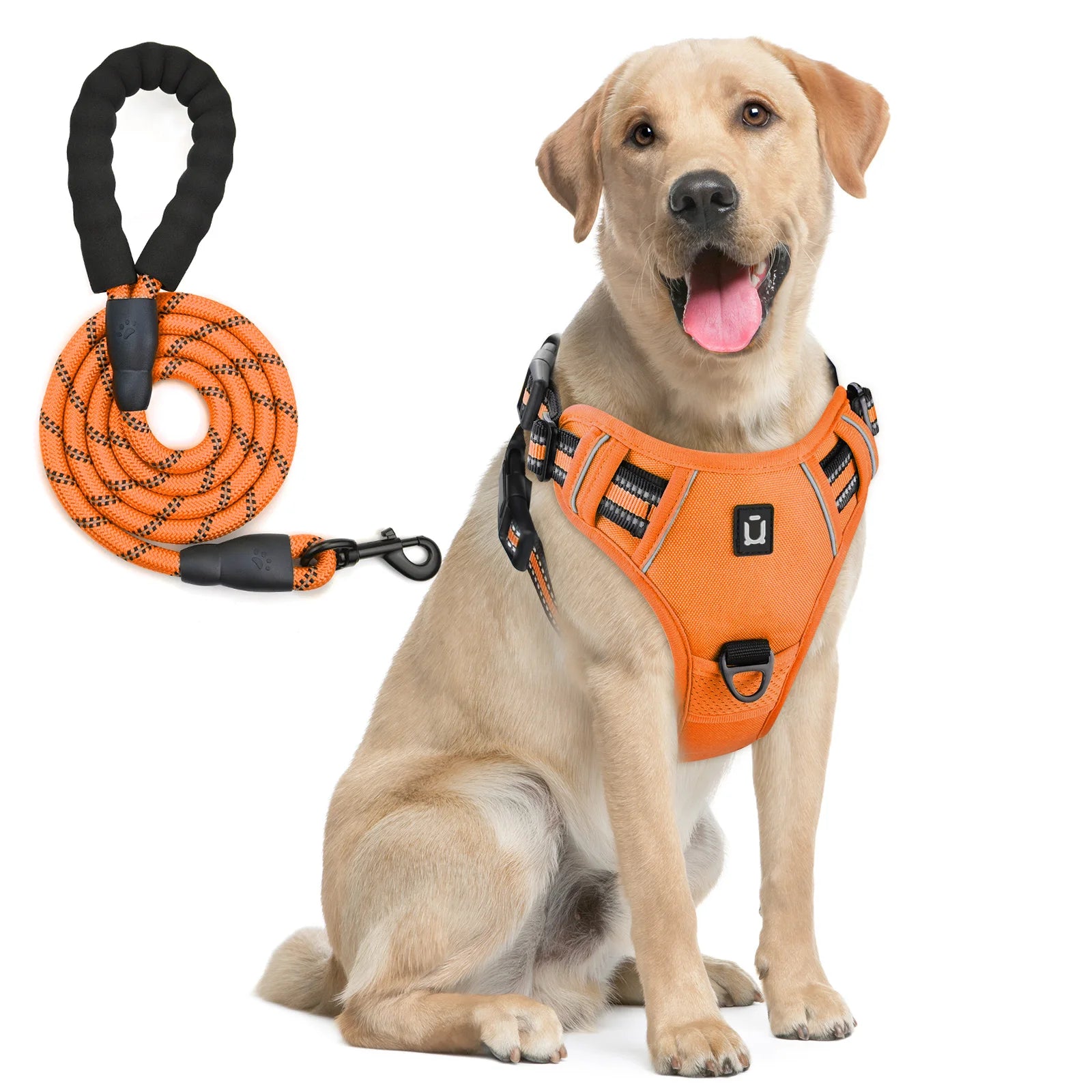 Escape Proof Dog Harness with Leash