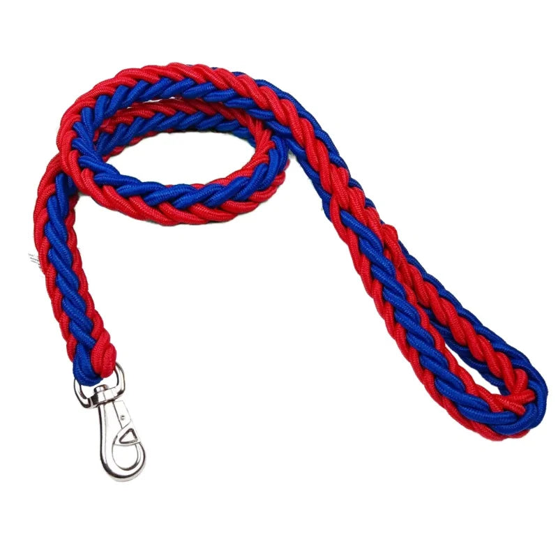 Braided Nylon Dog Leash - Large Dogs