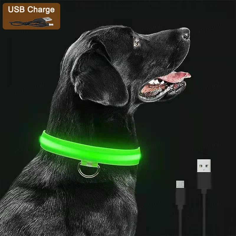 LED Dog Collar - USB Rechargeable