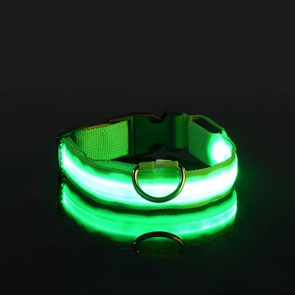LED Dog Collar - Rechargeable Light-Up Safety Collar for Night Walks
