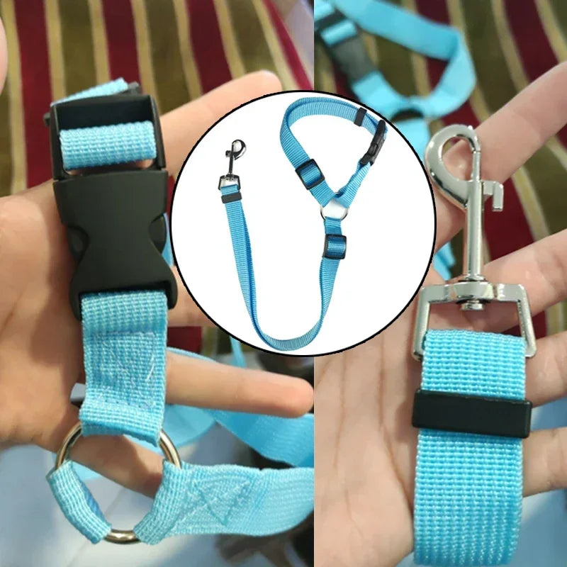 Dog Car Seat Belt - Two-in-One