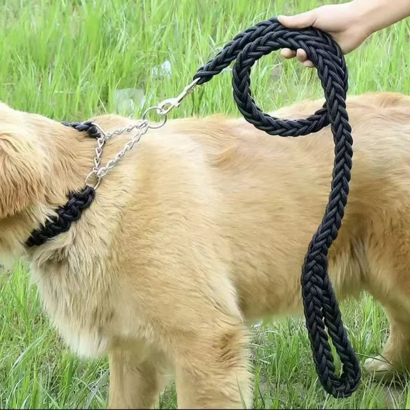 Braided Nylon Dog Leash - Large Dogs