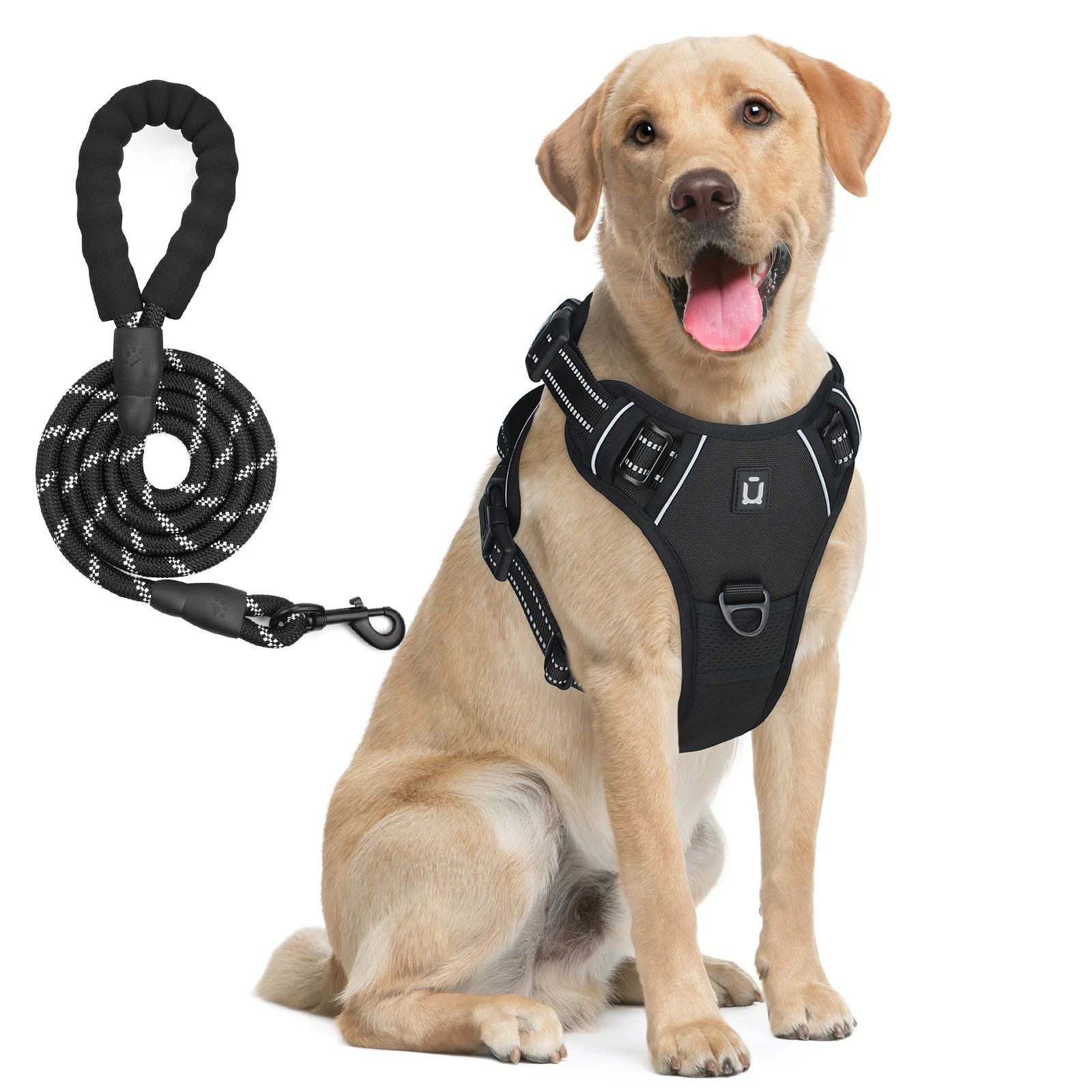 Escape Proof Dog Harness with Leash