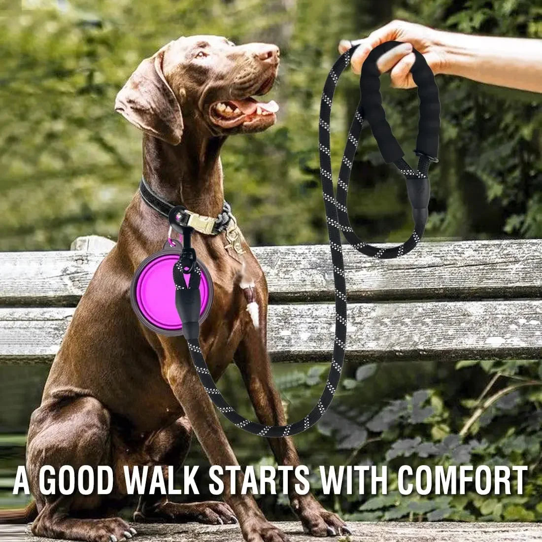Reflective Dog Leash - All Sizes